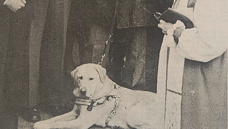 BACK IN THE DAY: The Southern Star’s celebration of West Cork nostalgia in all its forms Image