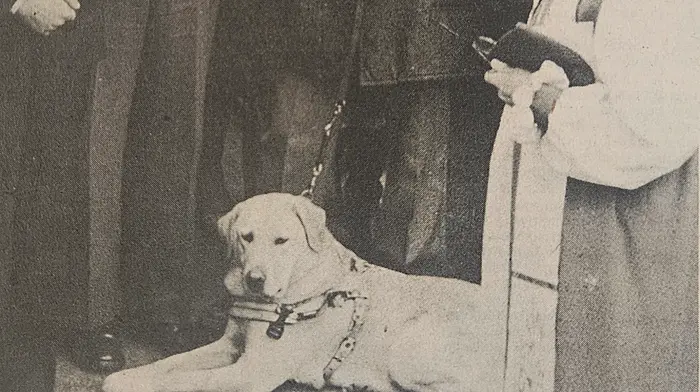 BACK IN THE DAY: The Southern Star’s celebration of West Cork nostalgia in all its forms Image