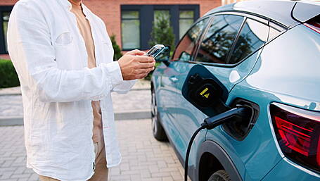 EV grants ahead of 2025 total Image