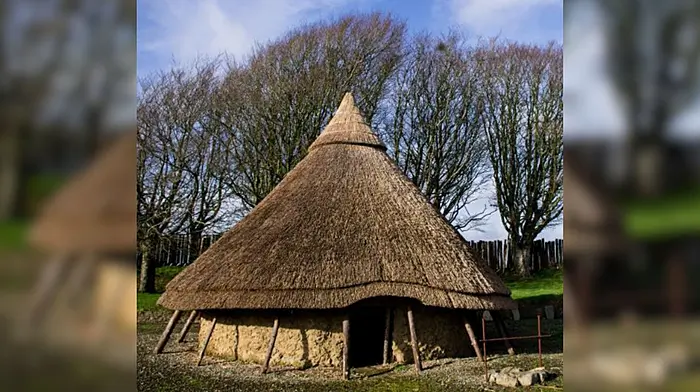 Celtic ringfort near Clonakilty an ideal site for visitor centre Image