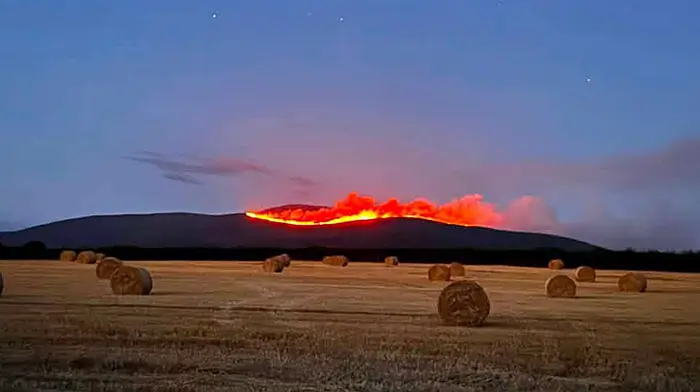 Smoke smell from Slievenamon wildfire reported in West Cork Image