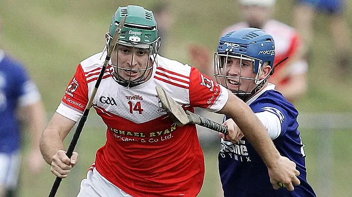 CARBERY JAHC ROUND-UP: Ballinascarthy and Dohenys guarantee knockout spots Image