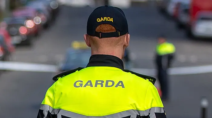 Gardaí appeal for witnesses after fatal accident near Dunmanway Image