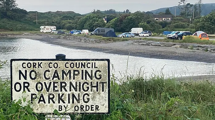 Campervan takeover: driveways being used as toilets say locals Image