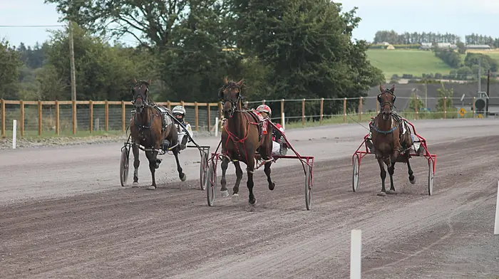 Ayroplane soars to win in Champions Stakes Image