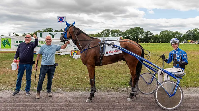 Harness racing winners at Lyre Raceway where the winner of race four was Leader De Lara, driven by Oisín Quill.   (Photo: Andy Gibson)