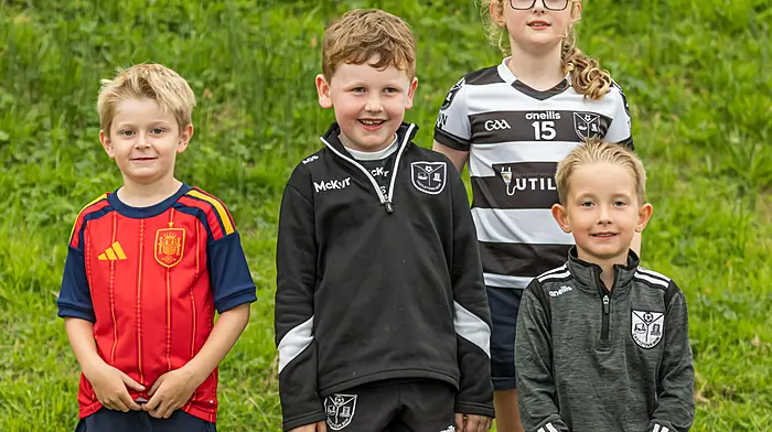 Iarlaith Cronin, Andria O’Sullivan, Ruth O’Shea and Joseph O’Sullivan at the PIFC.    (Photo: Anne Marie Cronin)