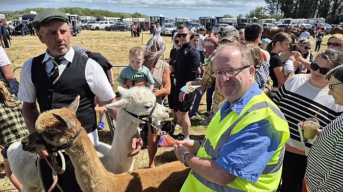 James O’Brien introducing llamas to Michael Collins TD during last Sunday’s agricultural show