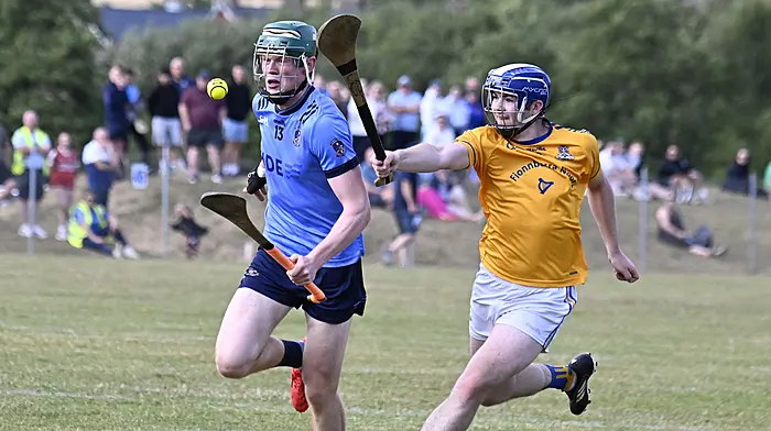 Late goals fire Barryroe to opening-round victory over St Finbarr's Image