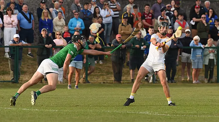 Bandon hurlers pass the first test and show they mean business with win over Aghada Image