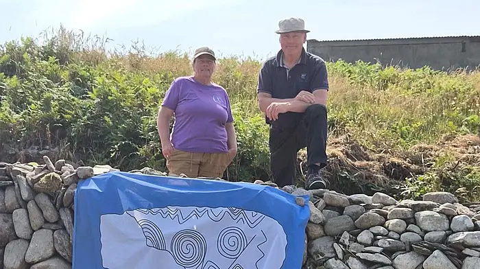 Youth exchange on Cape Clear Island Image