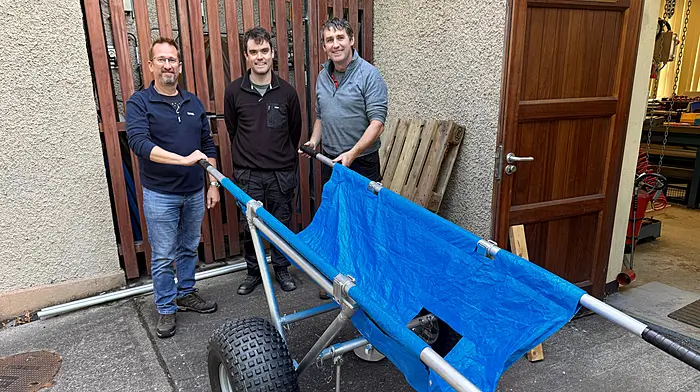 Rescue trolley for stranded dolphins hailed a triumph Image