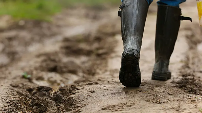 Free farm safety course launch Image