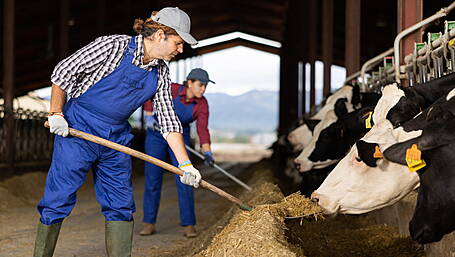 Paid holidays and sick leave for farmers dismissed as ‘tokenistic’ gesture from EU Image