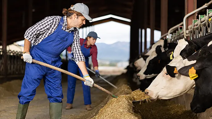 Paid holidays and sick leave for farmers dismissed as ‘tokenistic’ gesture from EU Image