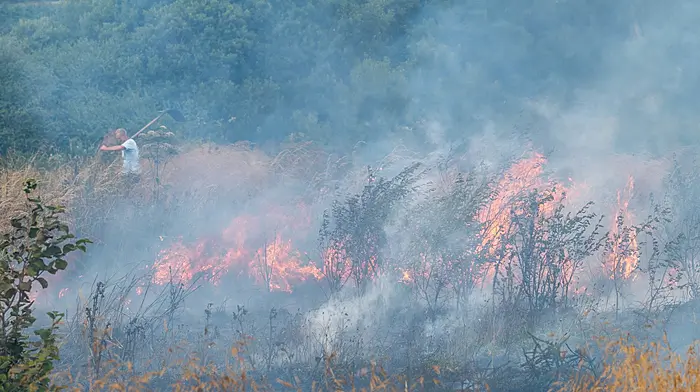 Bantry fire-fighters extinguish gorse fire Image