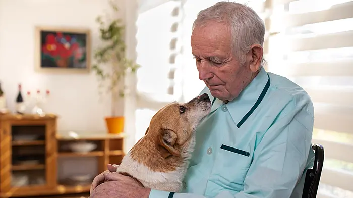Man’s best friend: how dogs boost our well-being Image