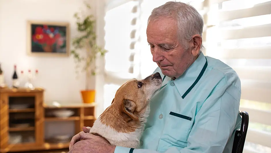 Man’s best friend: how dogs boost our well-being Image