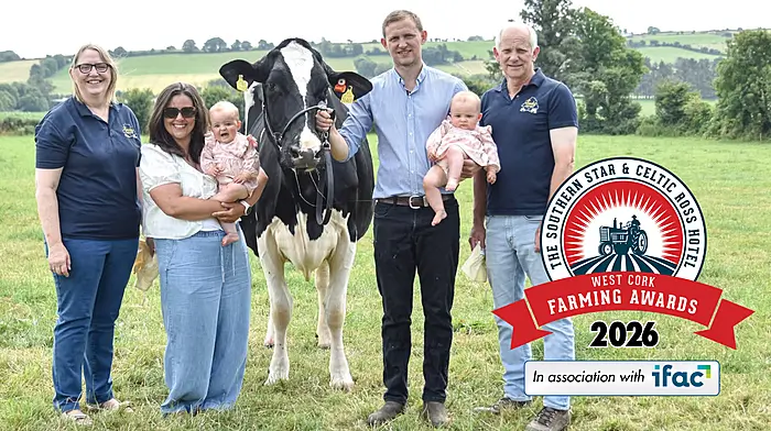 Meet the Helen family our August West Cork Farming Awards winner Image