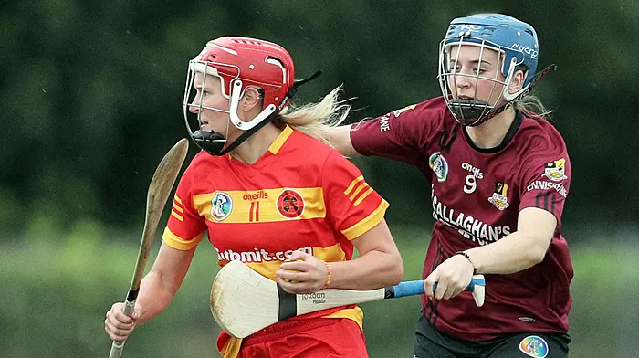 Ciara O’Sullivan’s 0-13 fires Newcestown to victory over Enniskeane in premier intermediate camogie opener Image