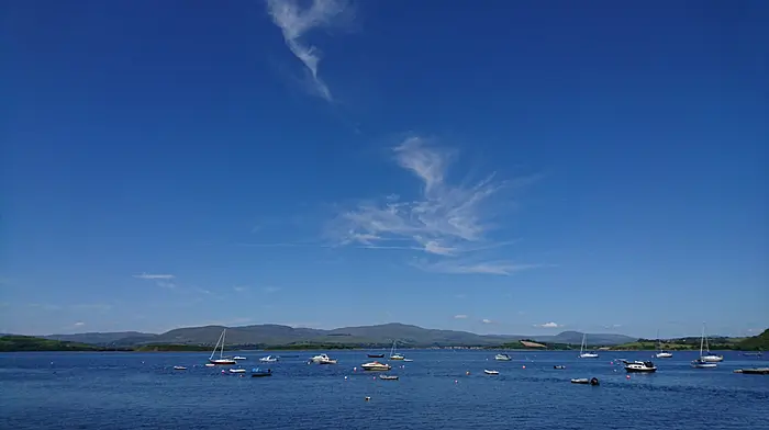 ‘Bantry is the perfect setting for biggest-ever Irish Coastal Rowing Championships' Image