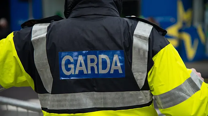 Gardaí issue student fraud warning ahead of CAO offers Image