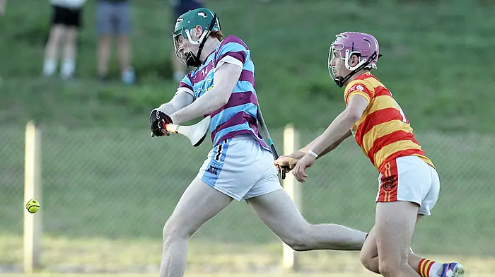 Ibane Gaels turn on style and book U21A hurling final Image
