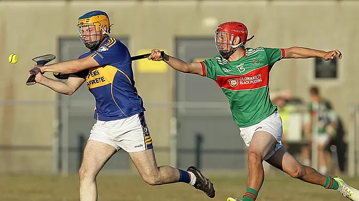 Diarmuid Ó Mathúnas get their Carbery junior A hurling championship campaign back on track Image