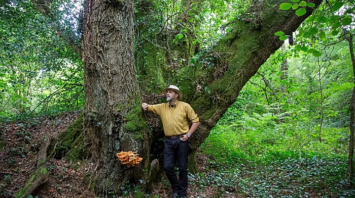 Eoghan Daltun giving his talk on Friday August 21st in the Town Hall on Protecting our Natural Heritage.