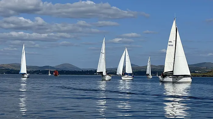 Led by the Bantry gig Unité, Water Heritage Day was celebrated by a vast array of boats including a second Bantry gig, the Sionn Bharra with a crew from Bantry and the Fionnbarra. Yachts, coastal rowing boats from Kenmare RC, motor boats and dinghies all navigated their way, albeit slowly due to the light winds. At the proposed BMAC site, Liam Kelleher, researcher with the CúLir and other BMAC committee members, did a shore walk and analysed some material from the beach before the large group of swimmers swam to the airstrip and back.  Water Heritage Day was funded by the River Basin Management Service, formerly LAWPRO.
