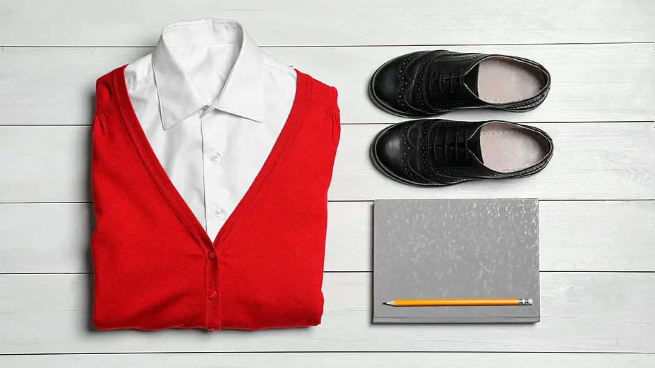 WOMAN ON THE VERGE: Back to school, back to bedlam Image