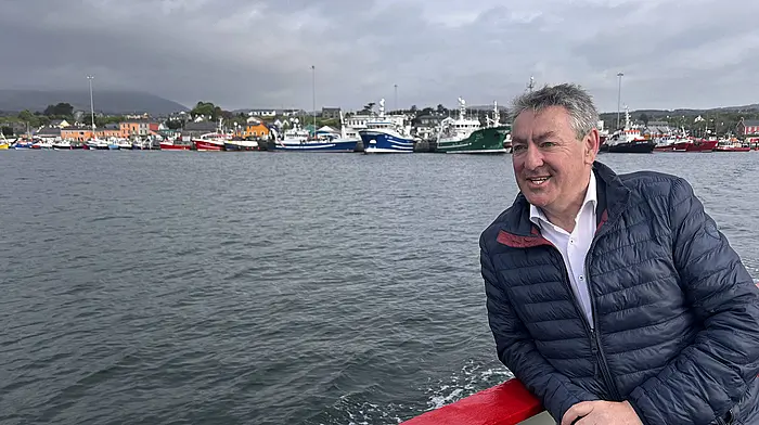 Ruling out Northern Ireland referendum is 'unacceptable', says Cork MEP Image