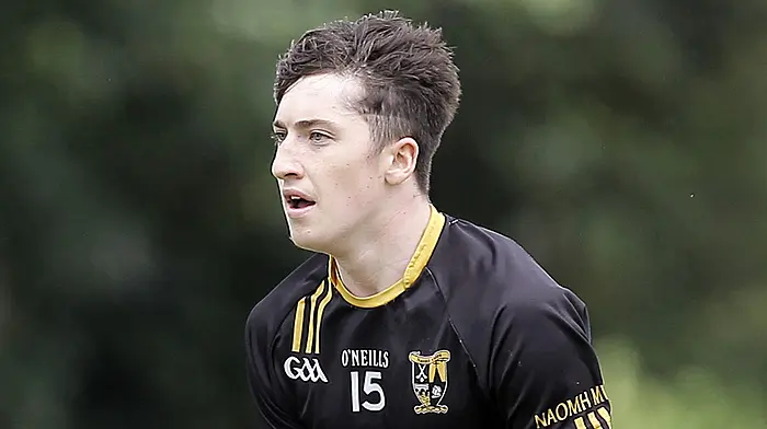 CARBERY ROUND-UP: Goleen through to JAFC quarter-finals again Image