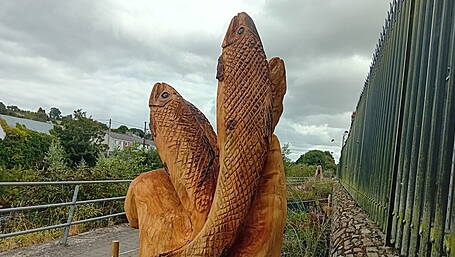 Bandon Tidy Towns vandalism Image