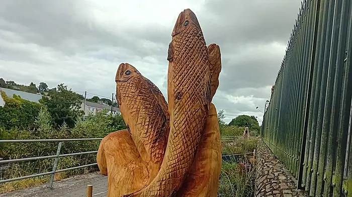 Bandon Tidy Towns vandalism Image