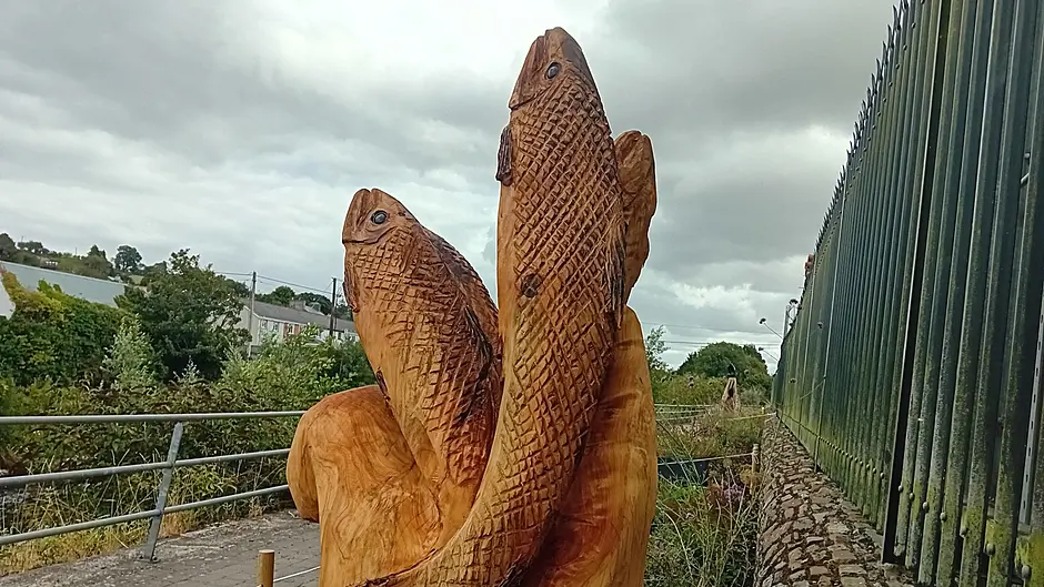 Bandon Tidy Towns vandalism Image