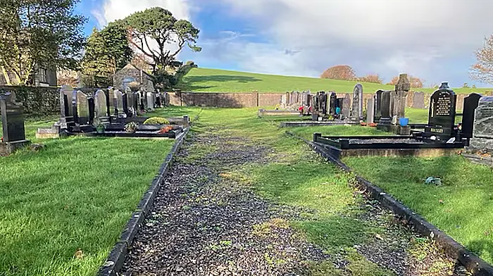 Darrara Cemetery drainage works commence following funding push by local councillor Image