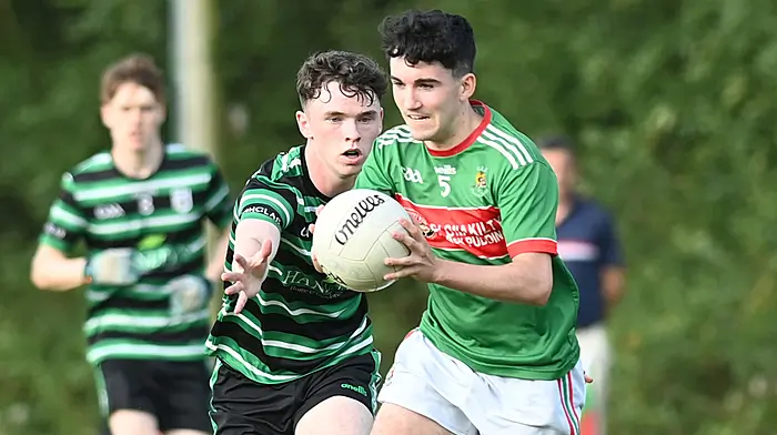 Clonakilty minor footballers book place in Premier 1 semi-finals Image