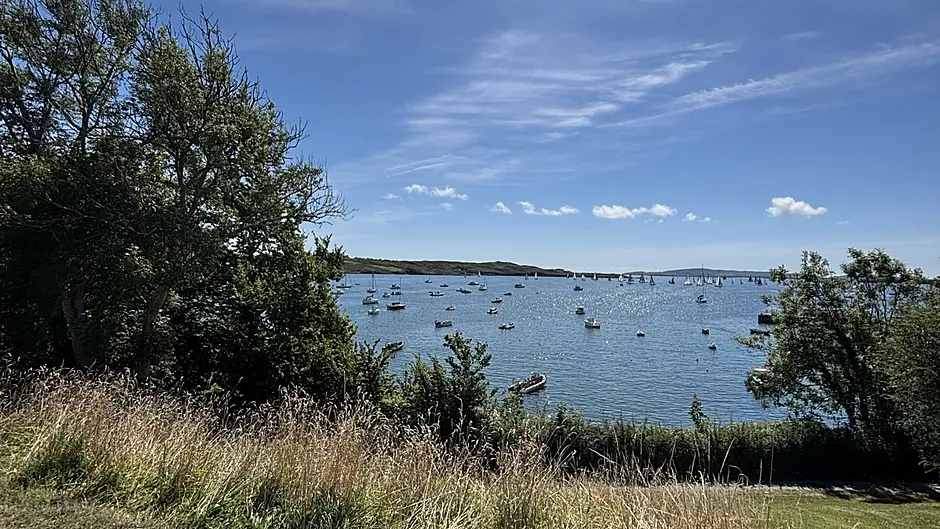 Parents must play their part during Calves Week claims Schull Community Council Image