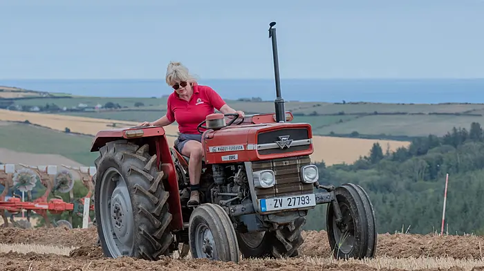 Seád Ní Mhaoilmhia (Kinsale) competed in the horse ploughing class and also had a go at tractor ploughing with a Massey Ferguson 147 at the De Courcey Classic and Vintage Club’s competition ploughing training day which was held on Christy Draper’s farm, Artiteige, Kilbrittain.   (Photo: David Patterson)