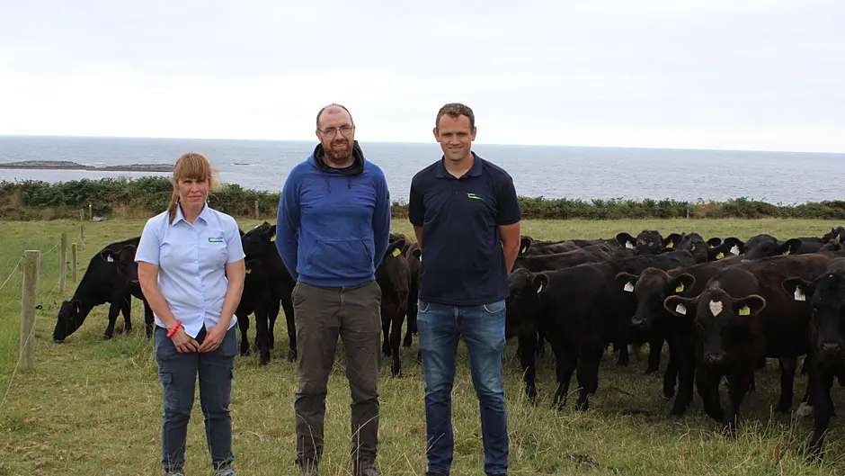 Farmers invited to see a successful dairy calf-to-beef system in operation in Myross Image