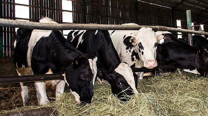 ICSA call for action over potential fodder crisis Image