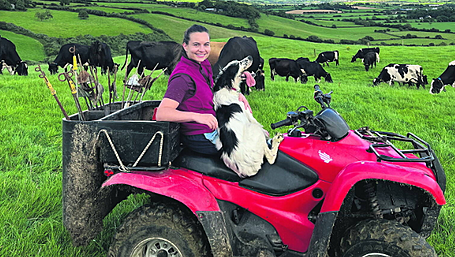 Only 13% of Irish farm holders are women: Carbery host event to drive change Image