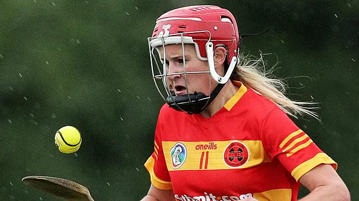 CORK CAMOGIE ROUND-UP: Newcestown and Clonakilty bid to reach premier intermediate semis Image