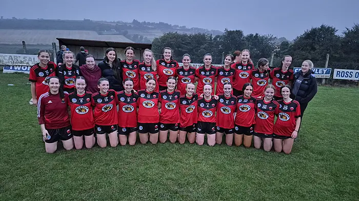 Ballinascarthy draw not enough to avoid premier intermediate relegation play-off Image
