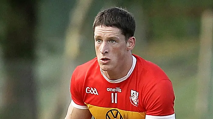 Éire Óg boss hails effort as premier status hurling is status secured for 2027 Image