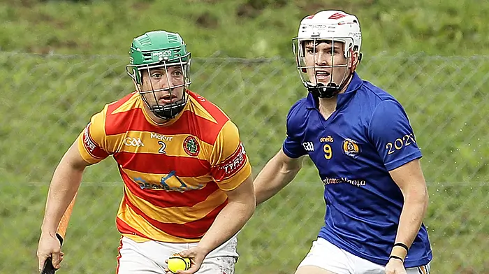 TALKING POINTS: Bandon power on, Newcestown stay up, Clonakilty knocked out Image