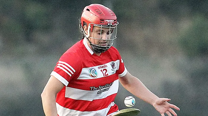 Unbeaten Courcey Rovers ready for new challenge as knockout camogie begins Image