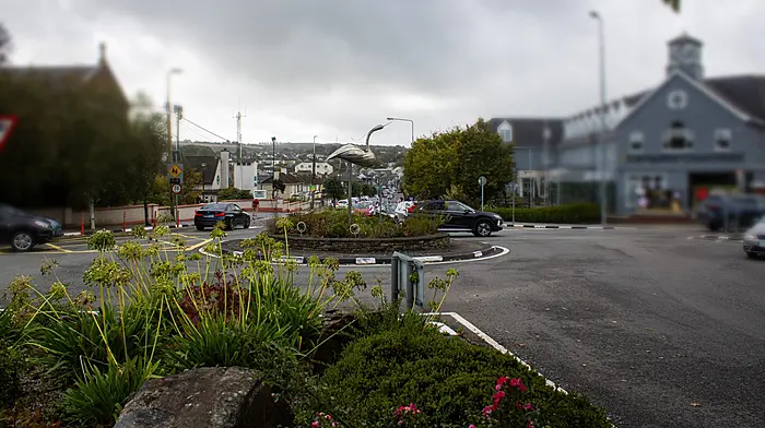 Planning permission granted for 227-unit housing development in Carrigaline Image