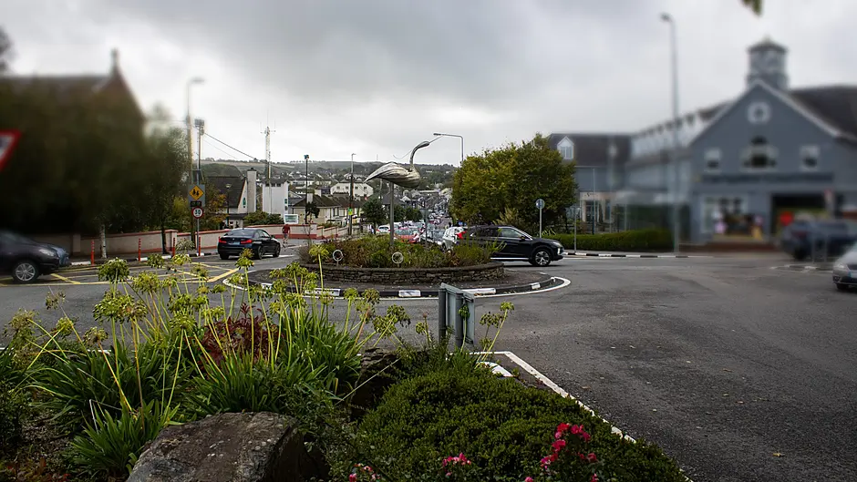 Planning permission granted for 227-unit housing development in Carrigaline Image